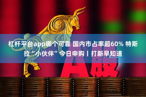 杠杆平台app哪个可靠 国内市占率超60% 特斯拉“小伙伴”今日申购丨打新早知道
