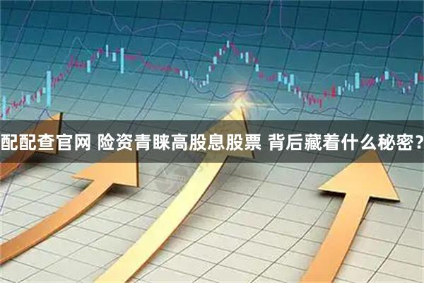 配配查官网 险资青睐高股息股票 背后藏着什么秘密？