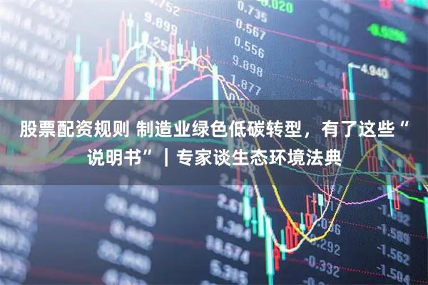 股票配资规则 制造业绿色低碳转型，有了这些“说明书”｜专家谈生态环境法典